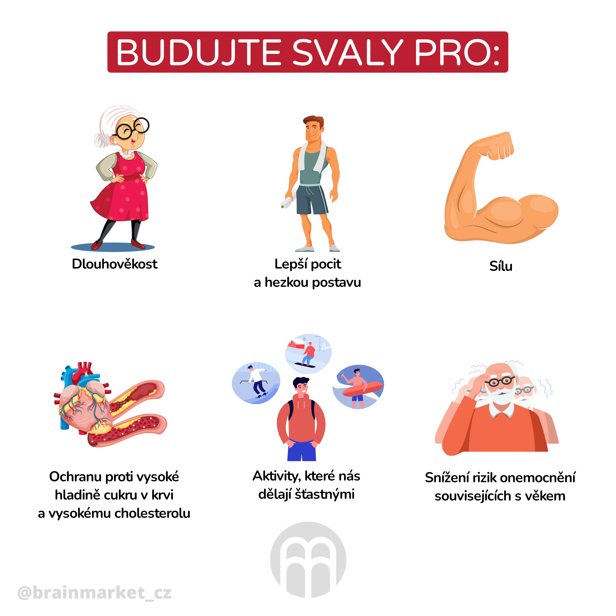 budujte svaly pro _infografika_clanek_cz